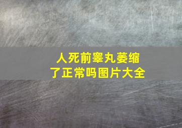 人死前睾丸萎缩了正常吗图片大全