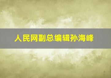 人民网副总编辑孙海峰