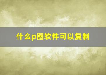 什么p图软件可以复制