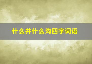 什么井什么沟四字词语