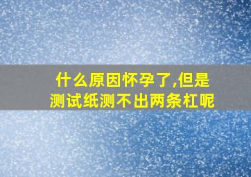 什么原因怀孕了,但是测试纸测不出两条杠呢