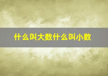 什么叫大数什么叫小数