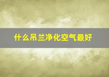 什么吊兰净化空气最好