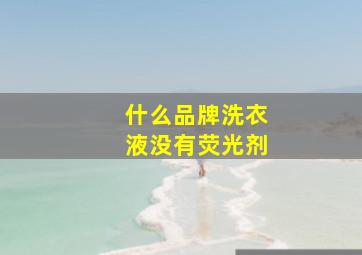 什么品牌洗衣液没有荧光剂