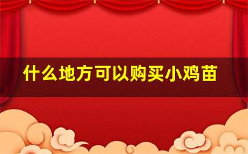 什么地方可以购买小鸡苗