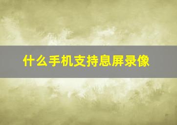 什么手机支持息屏录像