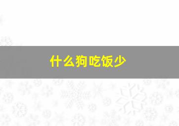 什么狗吃饭少