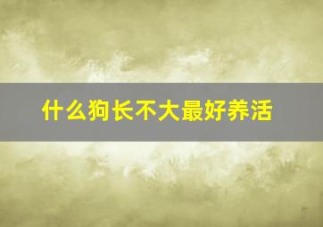 什么狗长不大最好养活