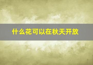 什么花可以在秋天开放