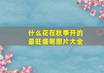 什么花在秋季开的最旺盛呢图片大全