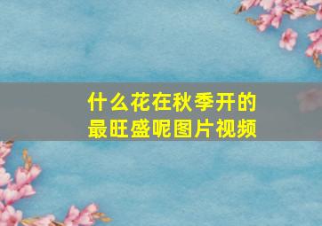 什么花在秋季开的最旺盛呢图片视频