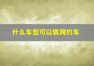 什么车型可以做网约车