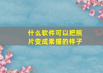 什么软件可以把照片变成素描的样子