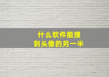 什么软件能搜到头像的另一半