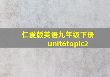 仁爱版英语九年级下册unit6topic2