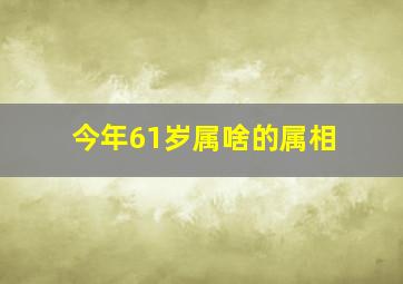 今年61岁属啥的属相