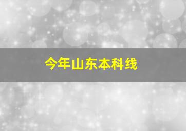 今年山东本科线