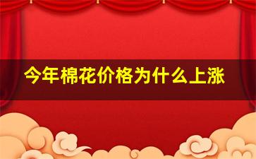 今年棉花价格为什么上涨