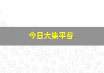 今日大集平谷