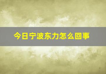 今日宁波东力怎么回事