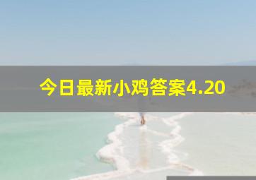 今日最新小鸡答案4.20