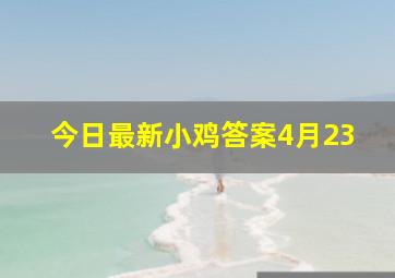 今日最新小鸡答案4月23