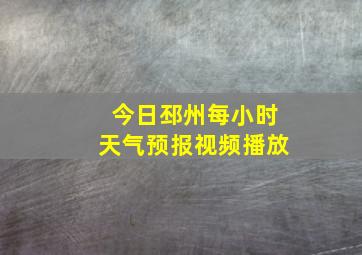 今日邳州每小时天气预报视频播放