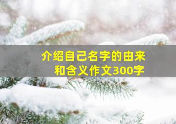 介绍自己名字的由来和含义作文300字