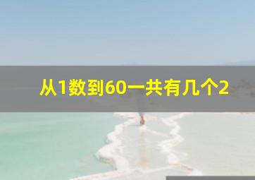 从1数到60一共有几个2