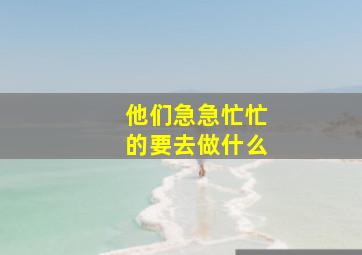 他们急急忙忙的要去做什么