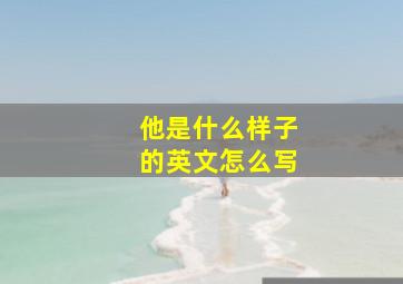 他是什么样子的英文怎么写