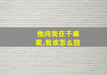 他问我在干嘛呢,我该怎么回