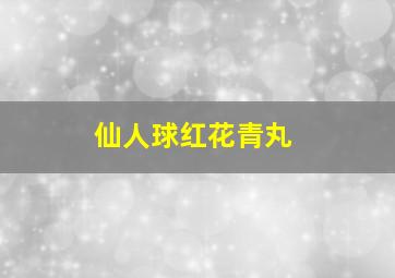 仙人球红花青丸