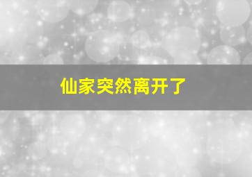 仙家突然离开了