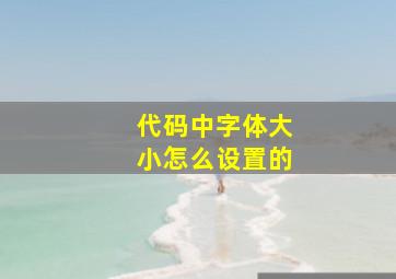 代码中字体大小怎么设置的