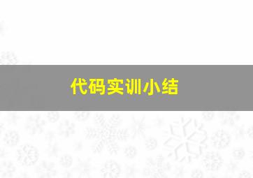 代码实训小结