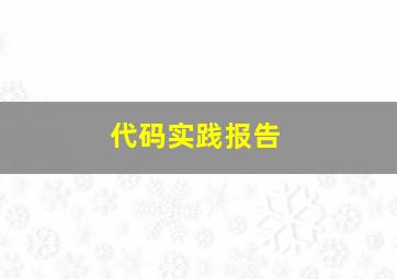 代码实践报告