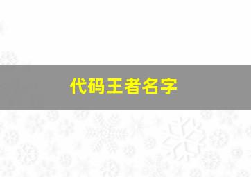 代码王者名字