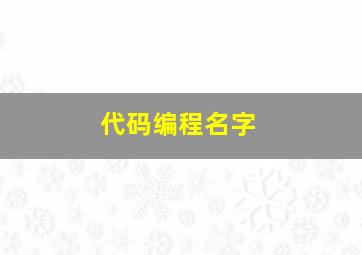 代码编程名字