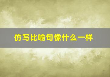 仿写比喻句像什么一样