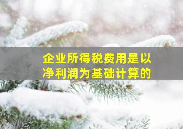 企业所得税费用是以净利润为基础计算的