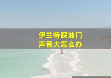 伊兰特踩油门声音大怎么办