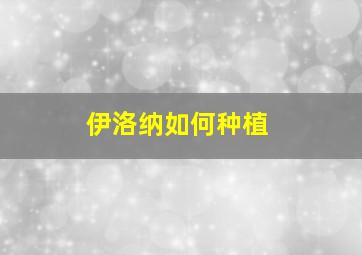 伊洛纳如何种植