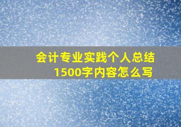 会计专业实践个人总结1500字内容怎么写