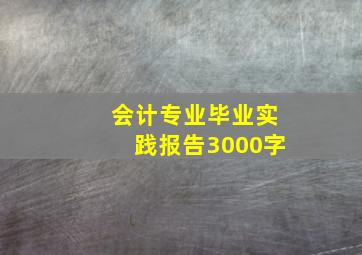 会计专业毕业实践报告3000字