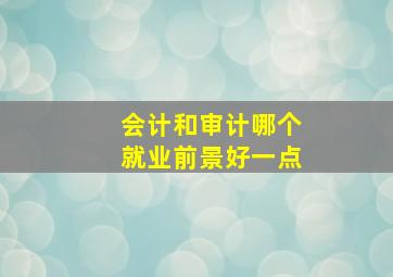 会计和审计哪个就业前景好一点