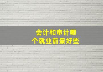 会计和审计哪个就业前景好些