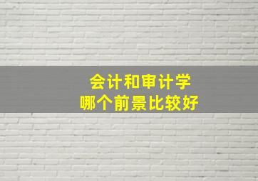 会计和审计学哪个前景比较好