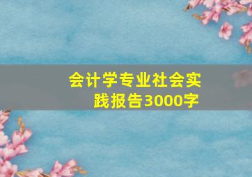 会计学专业社会实践报告3000字