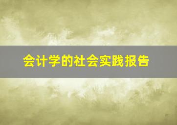 会计学的社会实践报告